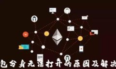 TP钱包分身无法打开的原因及解决方案