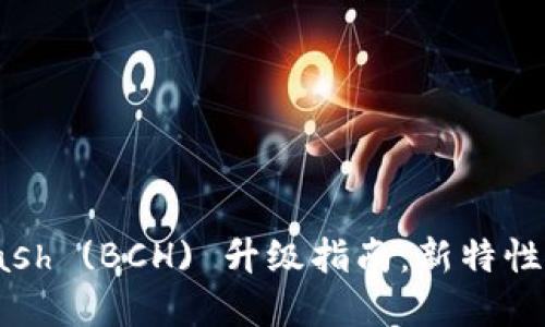 Bitcoin Cash (BCH) 升级指南：新特性与影响详解