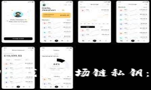 如何找回TP钱包波场链私钥：全面指南