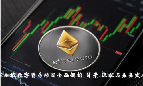 新加坡数字货币项目全面解析：背景、现状与未来发展