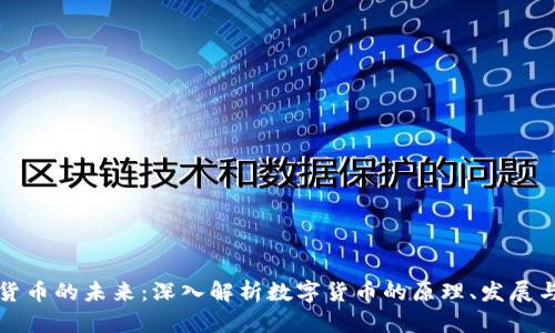 数字货币的未来：深入解析数字货币的原理、发展与应用
