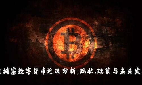 柬埔寨数字货币近况分析：现状、政策与未来发展