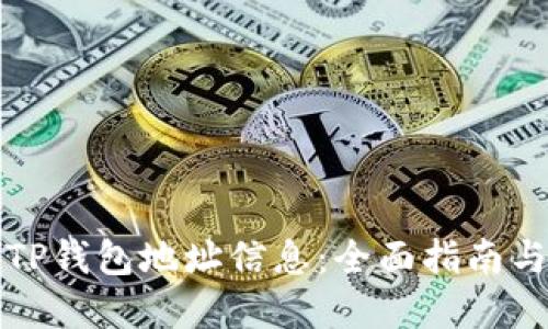 如何查询TP钱包地址信息：全面指南与实用技巧