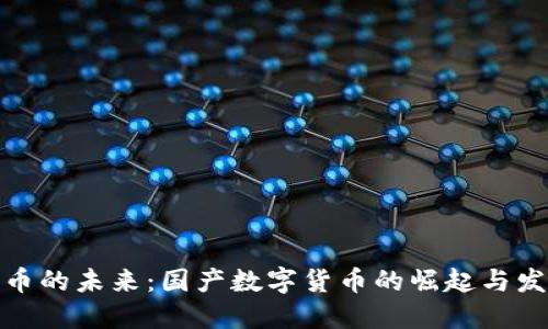 数字货币的未来：国产数字货币的崛起与发展趋势