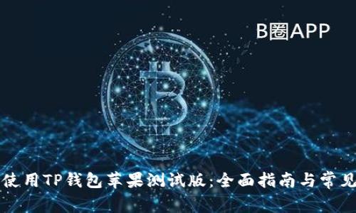 如何高效使用TP钱包苹果测试版：全面指南与常见问题解析