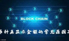 TP钱包中币种未显示金额的常见原因及解决方法