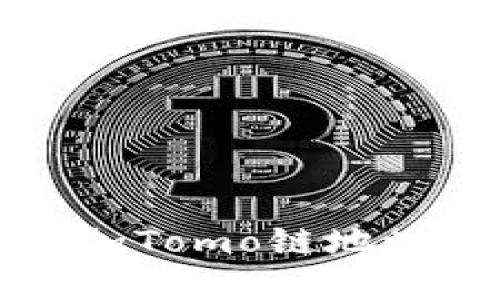 如何在TP钱包中添加Tomo链地址的详细步骤与指南