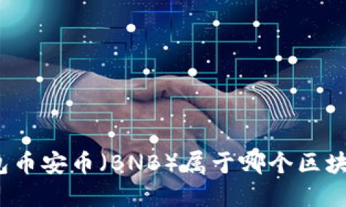 TP冷钱包币安币（BNB）属于哪个区块链网络？