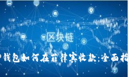 TP钱包如何在菲律宾收款：全面指南