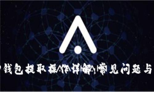 示例: TP钱包提取操作详解：常见问题与解决方案