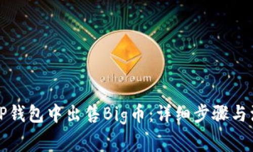 如何在TP钱包中出售Big币：详细步骤与注意事项