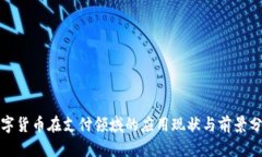 数字货币在支付领域的应用现状与前景分析