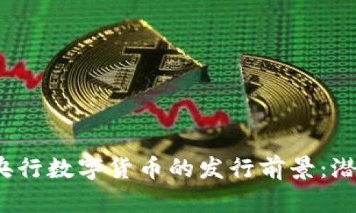 2023年央行数字货币的发行前景：潜力与挑战