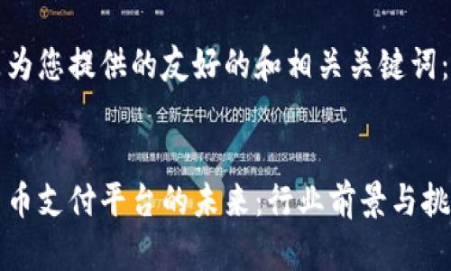 以下是为您提供的友好的和相关关键词：

- 
数字货币支付平台的未来：行业前景与挑战分析
