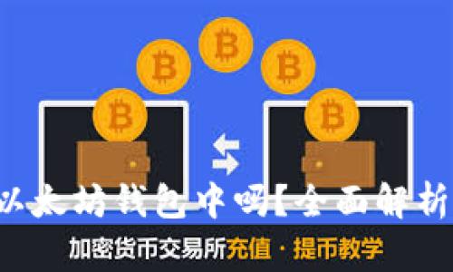  USDC可以存储在以太坊钱包中吗？全面解析USDC的存储及使用