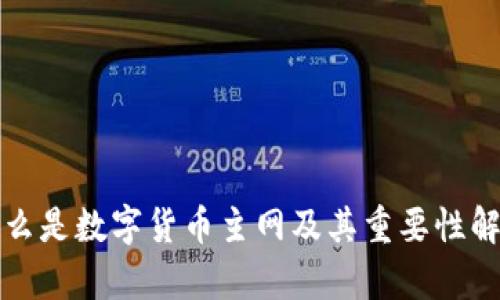 什么是数字货币主网及其重要性解析