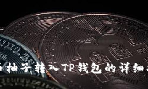 火币柚子转入TP钱包的详细指南