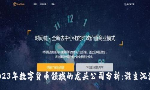 :
2023年数字货币领域的龙头公司分析：谁主沉浮？