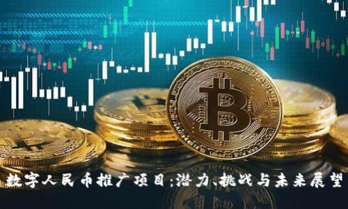 数字人民币推广项目：潜力、挑战与未来展望
