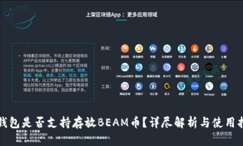 TP钱包是否支持存放BEAM币？详尽解析与使用指南
