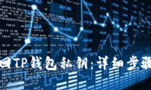 如何找回TP钱包私钥：详细步骤与技巧