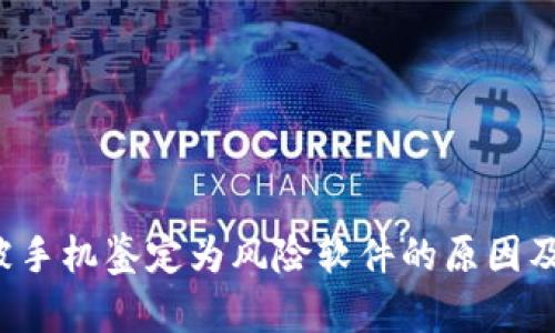  TP钱包被手机鉴定为风险软件的原因及解决方案