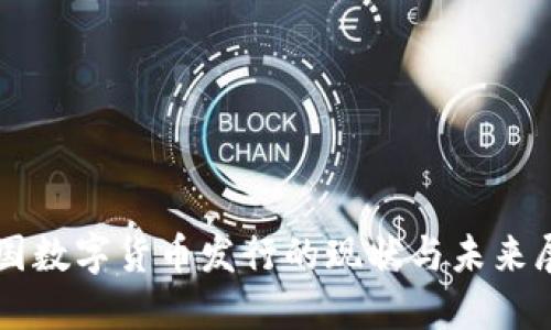 美国数字货币发行的现状与未来展望