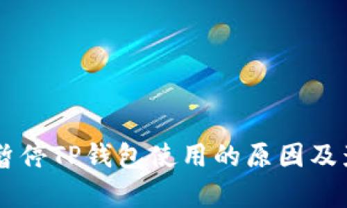 币安链暂停TP钱包使用的原因及影响分析