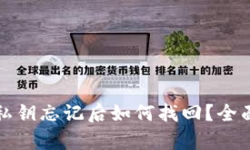 TP钱包密码和私钥忘记后如何找回？全面解决方案解析