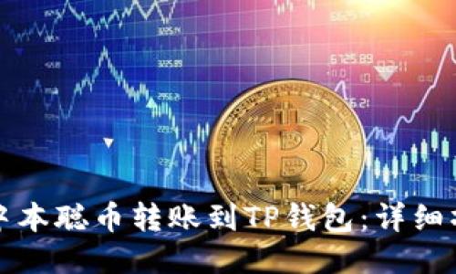 如何将中本聪币转账到TP钱包：详细操作指南