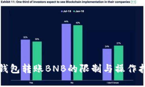 TP钱包转账BNB的限制与操作指南