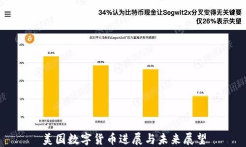 
美国数字货币进展与未来展望