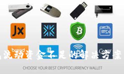 TP钱包流动资金不足的解决方案与策略