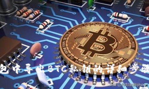 如何在TP钱包中导出BTC私钥的详细步骤与注意事项