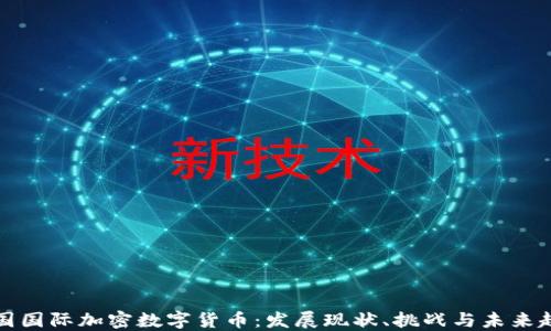 
中国国际加密数字货币：发展现状、挑战与未来趋势