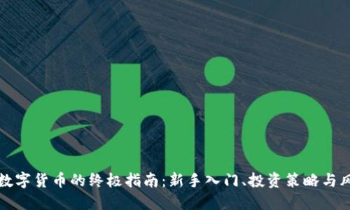 个人玩数字货币的终极指南：新手入门、投资策略与风险管理