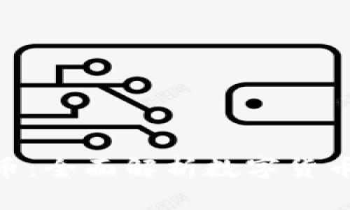 金叔讲数字货币：全面解析数字货币的未来与风险