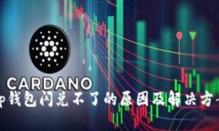 tp钱包闪兑不了的原因及解决方案