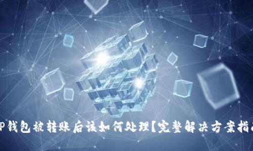 TP钱包被转账后该如何处理？完整解决方案指南