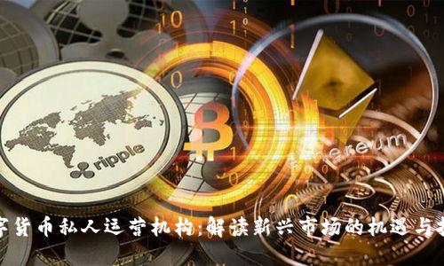 数字货币私人运营机构：解读新兴市场的机遇与挑战