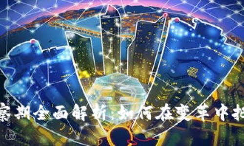 数字货币考察期全面解析：如何在变革中把握投资机遇