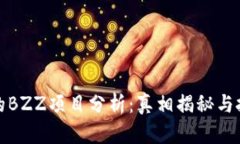TP钱包的BZZ项目分析：真相揭秘与投资策略