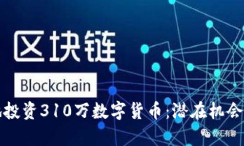 如何明智地投资310万数字货币：潜在机会与风险分析