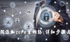 tp钱包如何添加core主网络：详细步骤与技巧解析