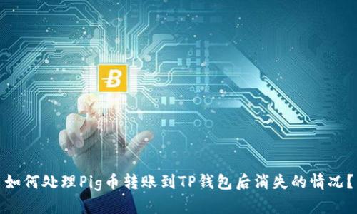 如何处理Pig币转账到TP钱包后消失的情况？