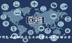 TP钱包币兑换不了怎么办？常见问题及解决方案
