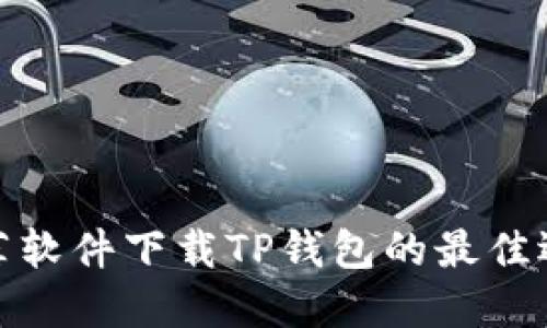 推荐软件下载TP钱包的最佳选择