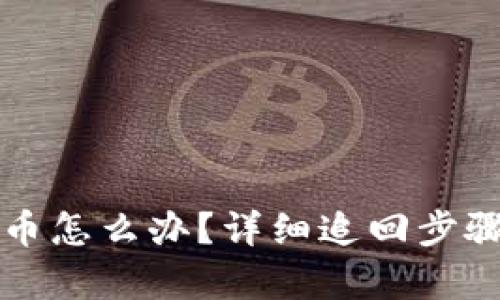 TP钱包被盗币怎么办？详细追回步骤与技巧解析