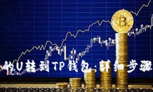 如何将欧易的U转到TP钱包：详细步骤与注意事项