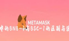 TP钱包中的BNB-1与BSC-1的区别与使用指南
